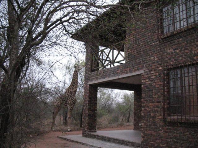 Crowe'S Nest Villa Marloth Park Esterno foto